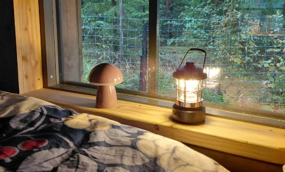 Lyhty ja sienilamppu hirsimökin ikkunalaudalla, ikkunasta metsä
